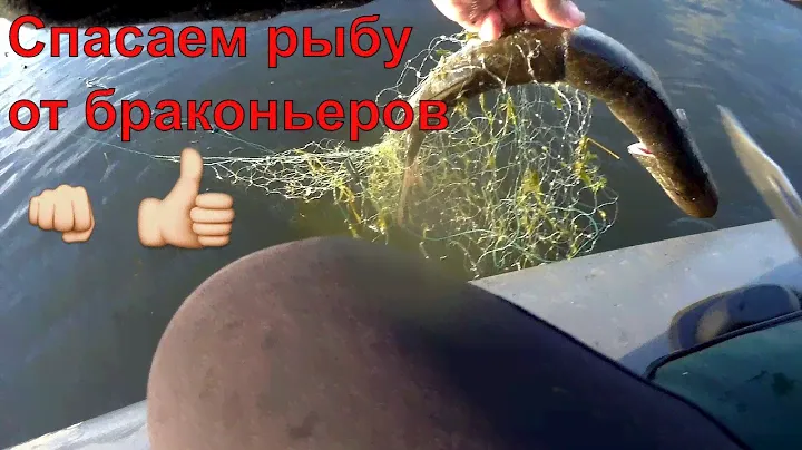 Ловля щуки в Красноярке Эти сволочи и до этого озера добрались